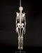 1920s real Human Skeleton ex medical study